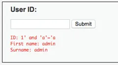 2015-01-31_web_sindan_sql_injection_27_45