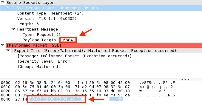 Net-Agent Vul Check Result